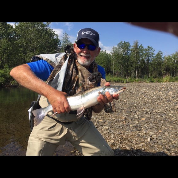 Meet your Posher, Jim - Picture 1 of 1